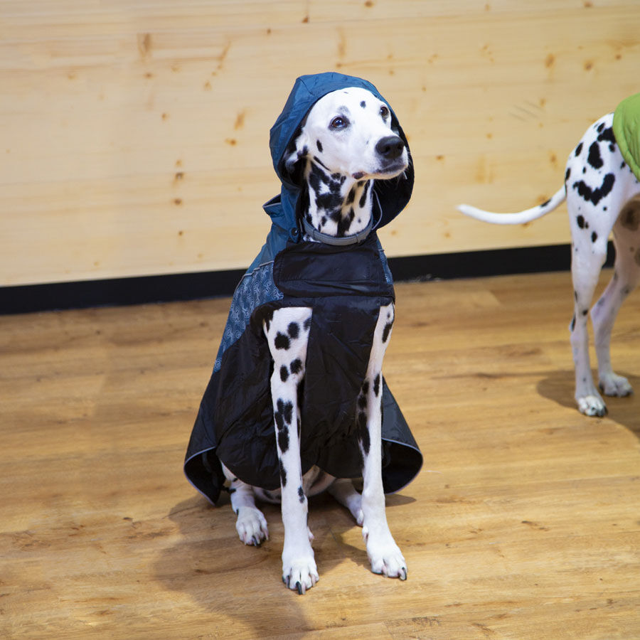 Outech Chubasquero con Estampado de Huesos para perros, , large indicador imagen numero 2